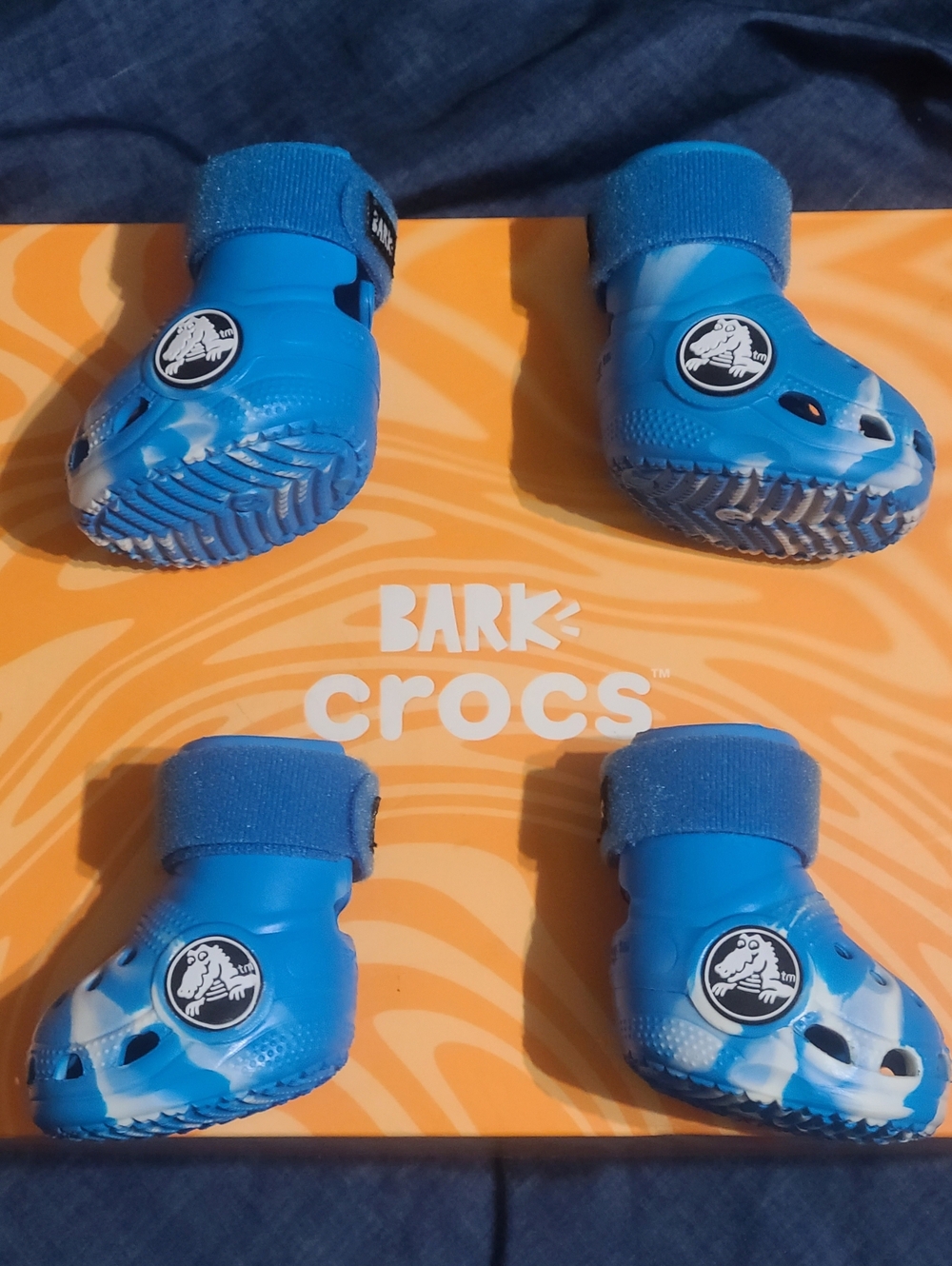 Crocs 4 Dogs "Bark Blue", New In Original Box! Doggo Size Medium